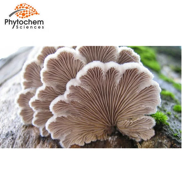 
Natural White Ginseng Schizophyllan Beta-glucan in Supplement and cosmetics 