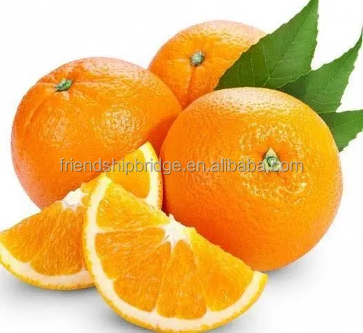 
Nursery Fruit Seedlings Citrus sinensis Sweet Blood Navel Orange Trees 