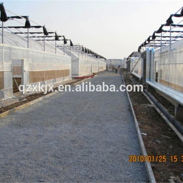 2021 new product green house plastic film greenhouse agricultural greenhouse