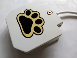 super september promotion dog water fountain