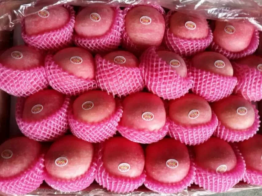 
Royal Gala Apples Granny Smith Apples Red Delicious/Stark/Red Chief Apples Fuji apples Origin CHINA 