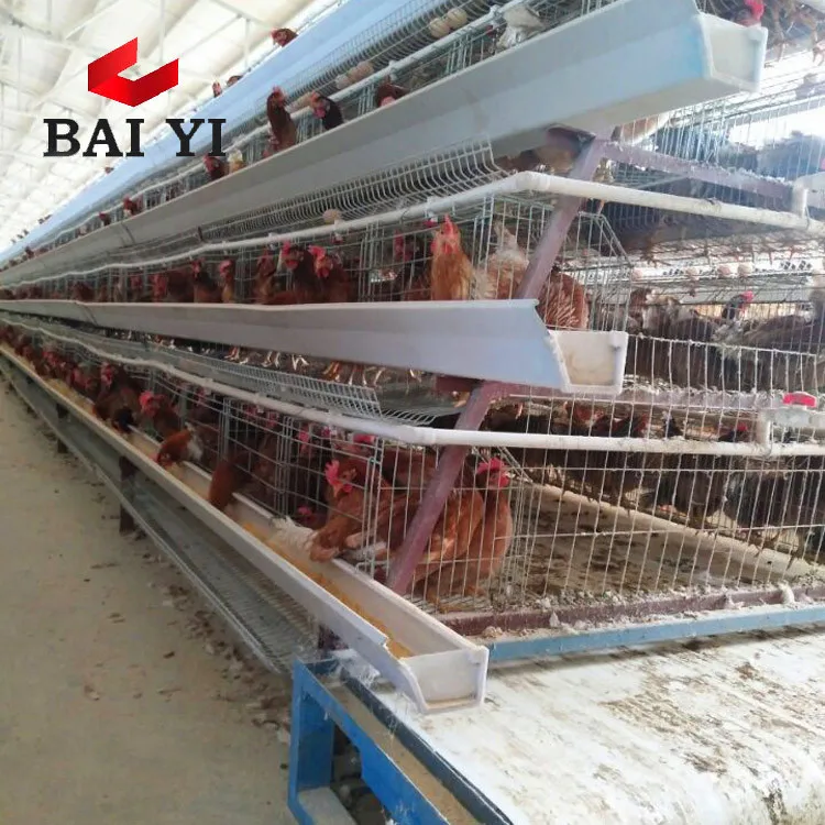 Best Selling Layer Chicken Battery Cage Poultry Equipment In Zimbabwe,South Africa,Pakistan