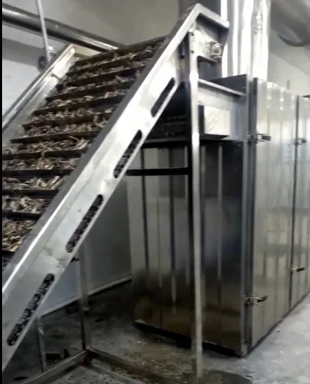 
Fish Production Line ,Fish canning production line , fish meal production line for hot sale 