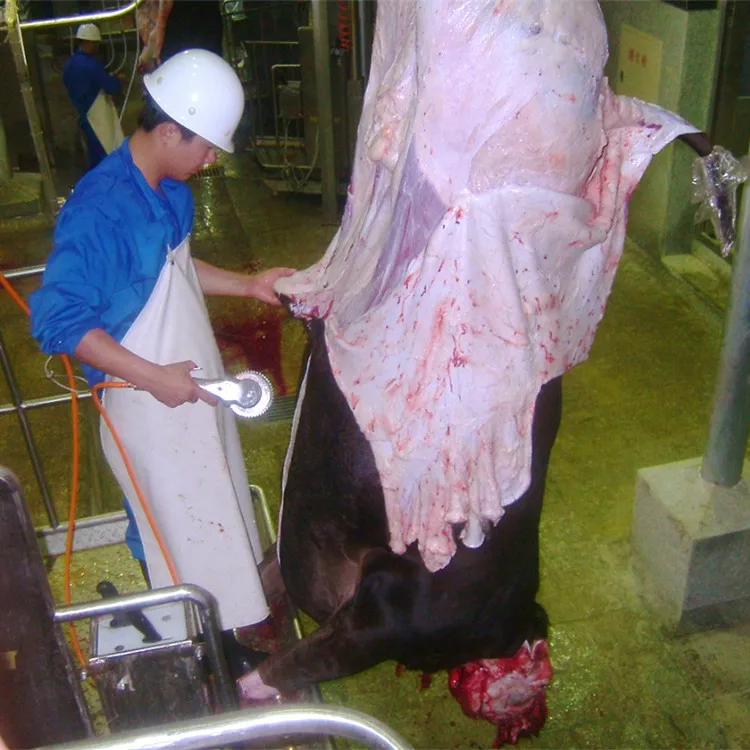  Гидравлическая машина для удаления кожуры из воловьей кожи