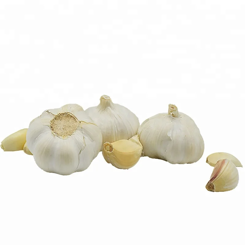 Hot Sale Super Quality 5.5cm 10Kg Carton Box Whites Fresh Garlic For Israel