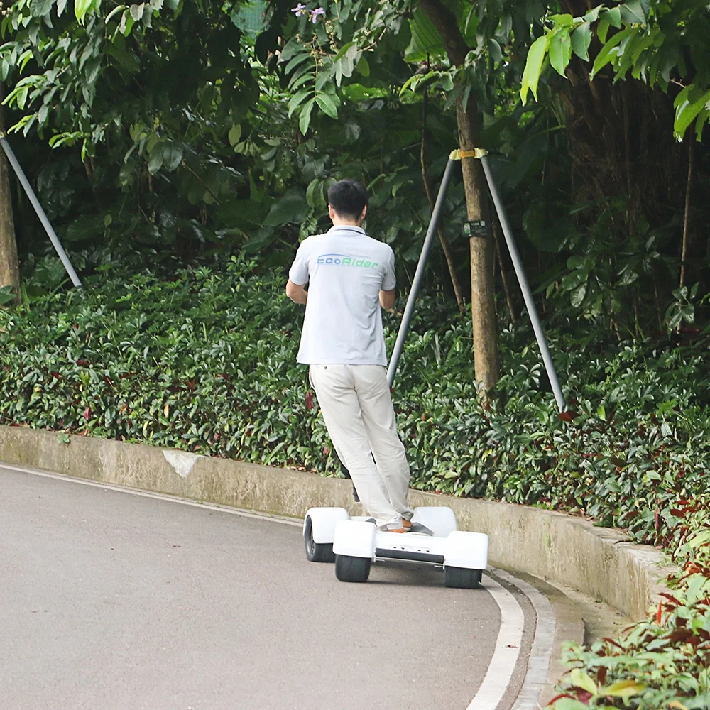 Newest longboard electric golf skateboard scooter with remove golf holder