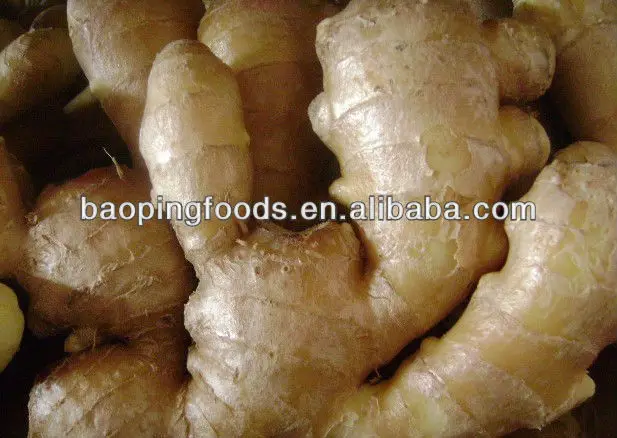 
China mature ginger 