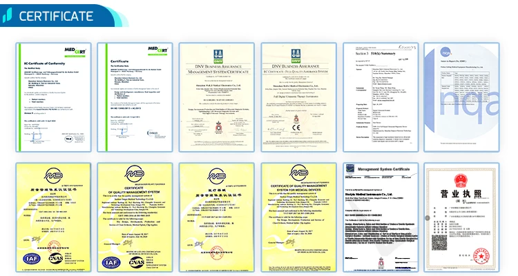 High Quality Accurate Portable Blood Gas Analyzer Price