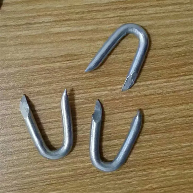 Electro Galvanized U Shape Nails Used with Barbed Wire