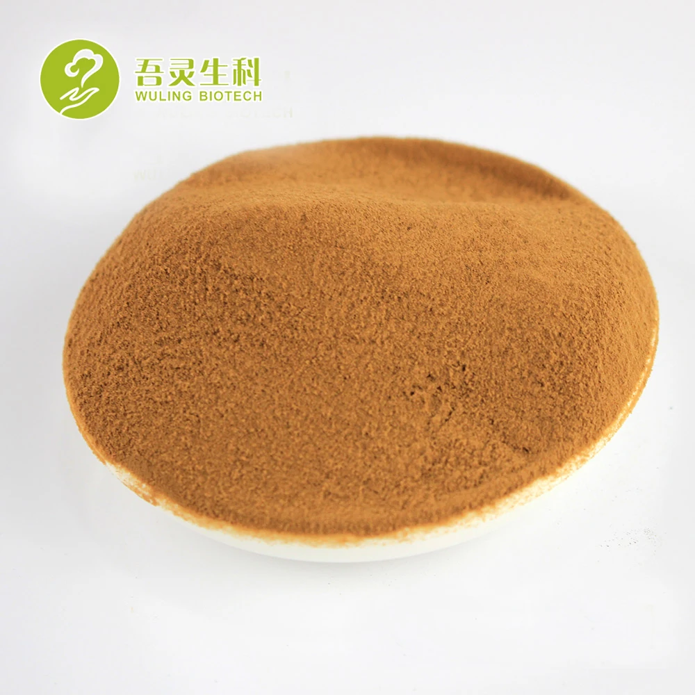 High Quality Recipe Turkey Tail Fungus Turkey Tail Mushroom Extract