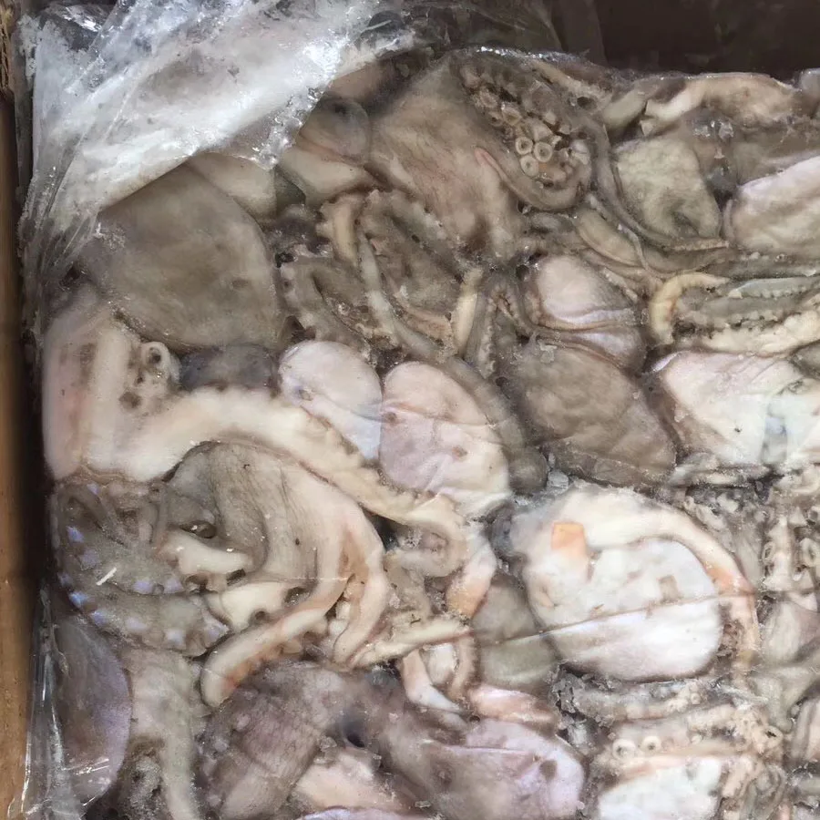 Fresh cleaned frozen octopus ,short leg all size