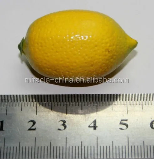 Guangzhou manufacturing fruits musical instruments