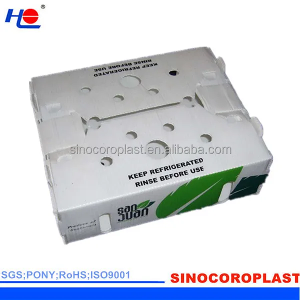 Fruit Packing Corrugated PP Plastic Flute Box