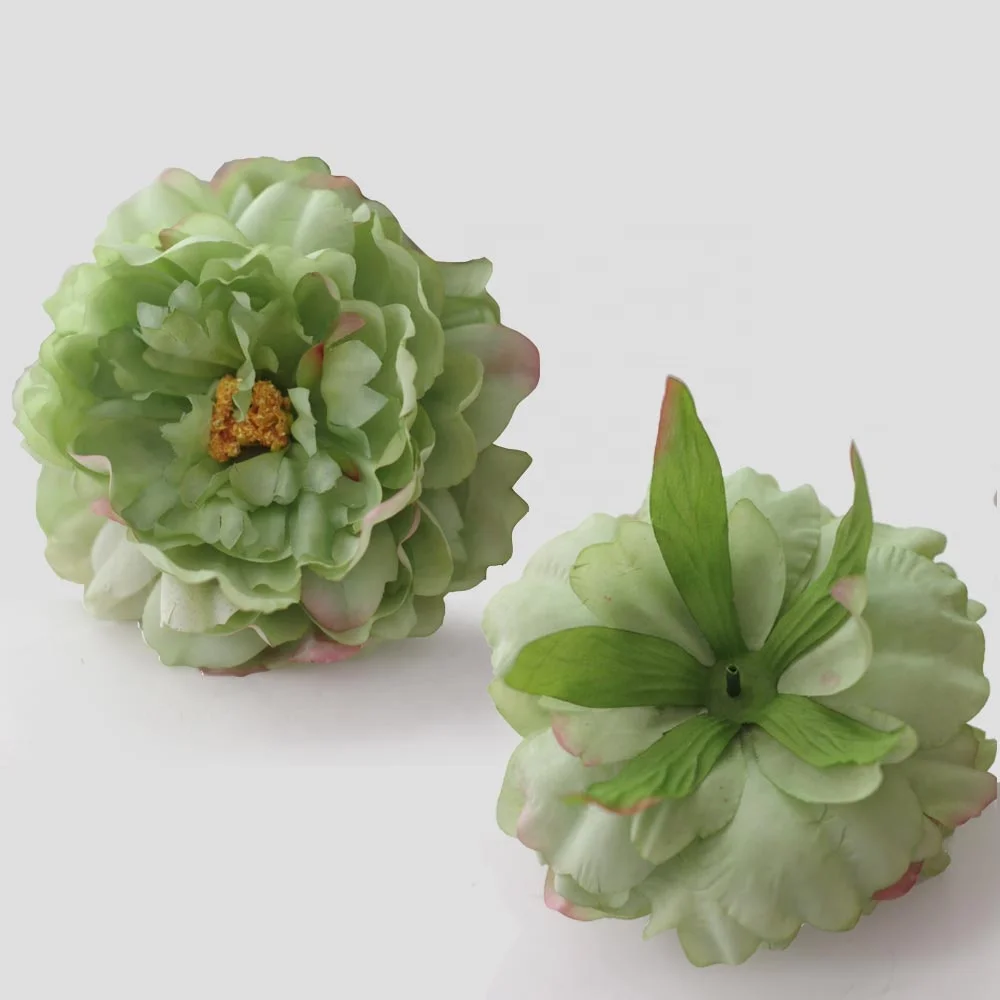 Flower head of   blooming peony