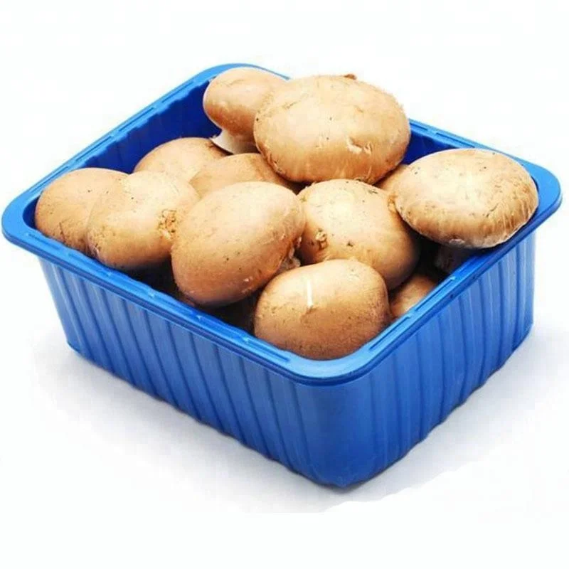 Vacuum Forming PP Plastic Fresh Vegetable Packaging Disposable foam supermarket frozen meat food trays packing