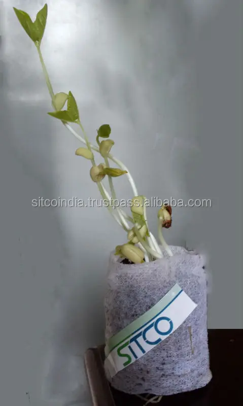 Торфяной гранулированный диск Коко