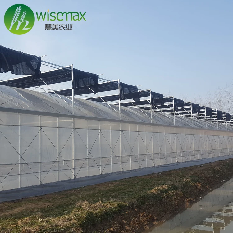 Ventilation system insect net PE plastic film greenhouse