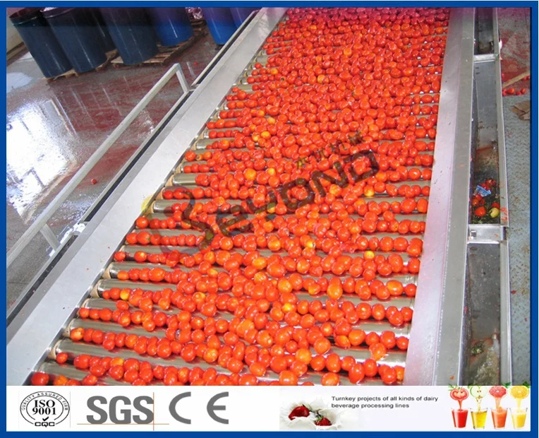 3000kg tomato paste and sauce processing line with evaporator filled with aseptic big drum