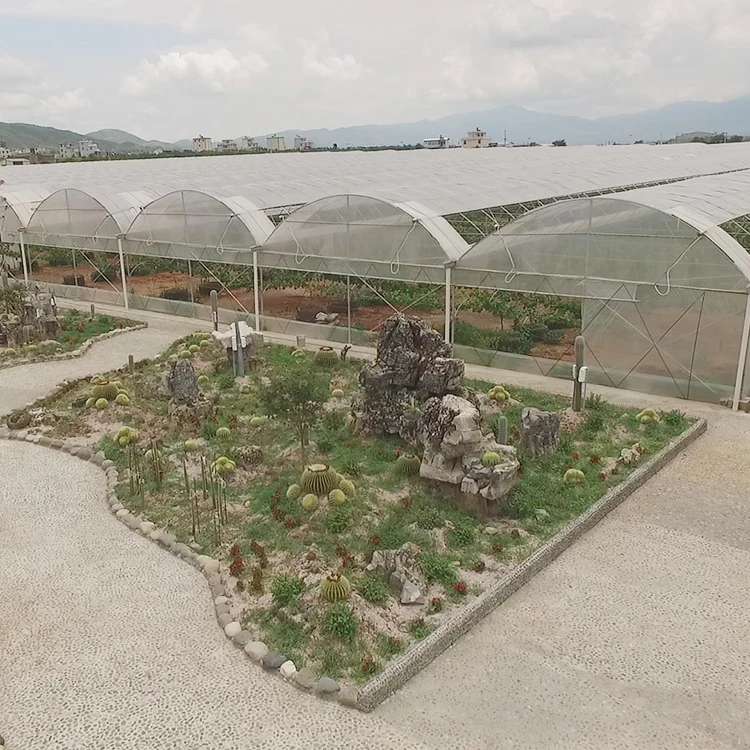 
China Supply Grape Greenhouse With Grape Trellising System To Malaysia 