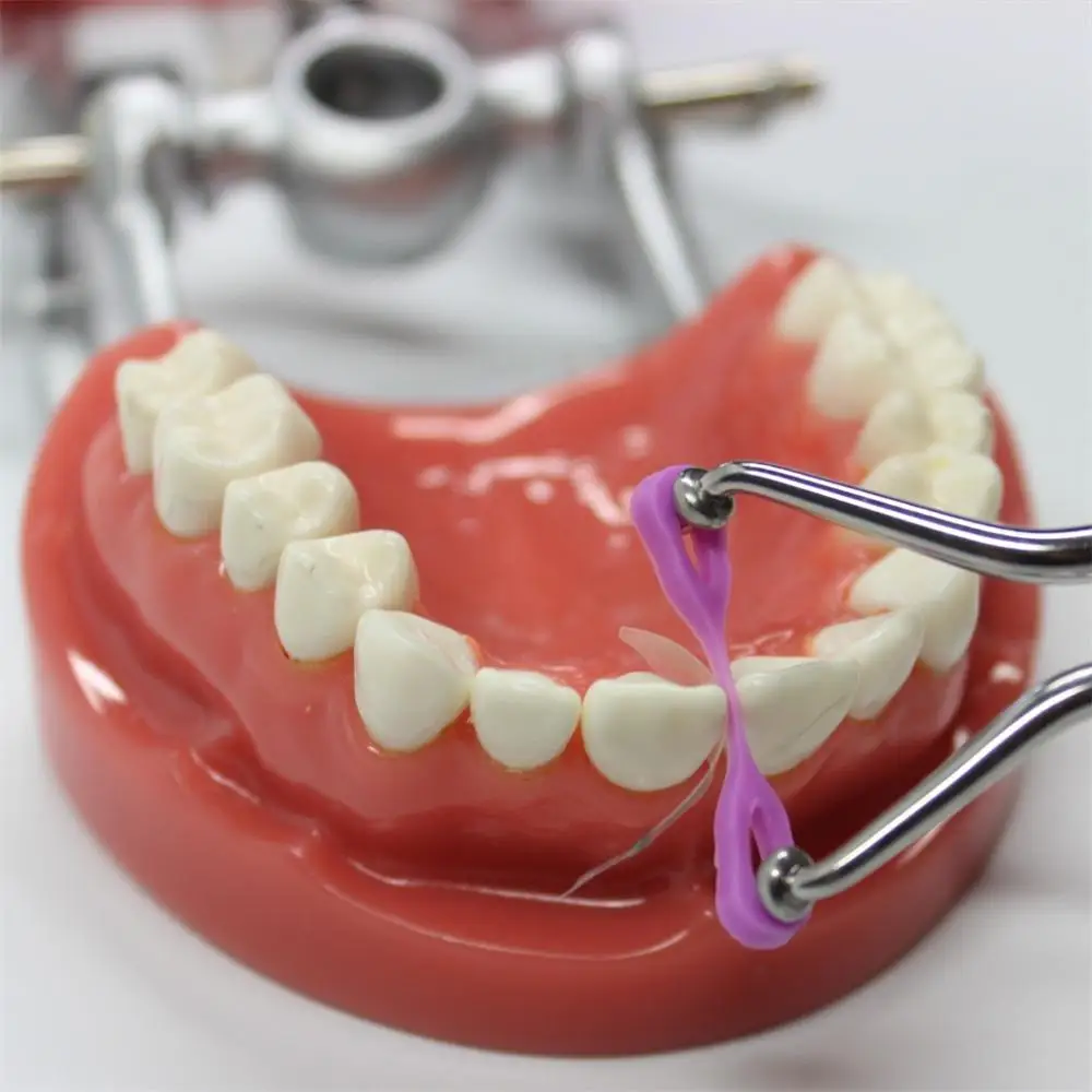 DENTAL SUPPLY DENTAL SECTIONAL CONTOURED MATRICES KIT