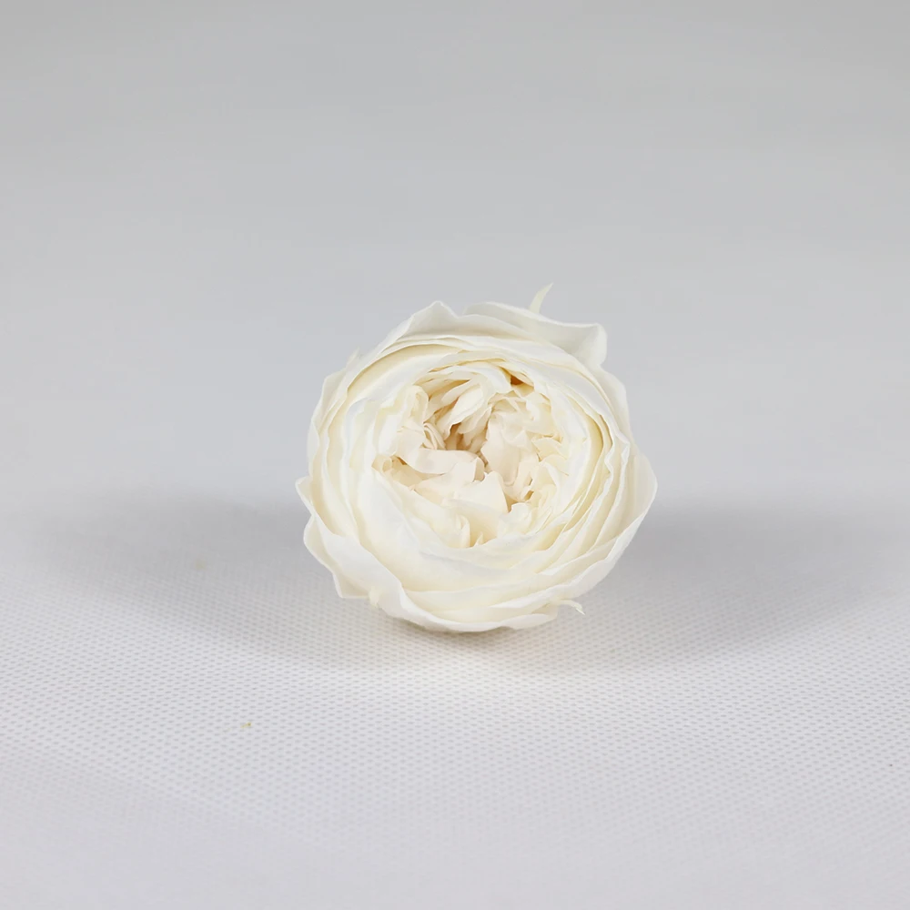 Долговечные натуральные консервированные розы для свадебного декора