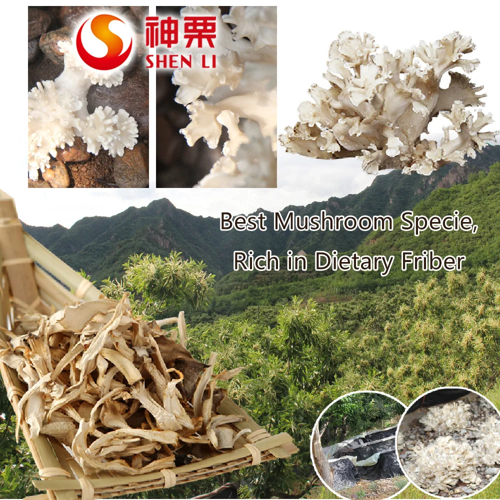
Hot sell IQF dried shitake mushroom 