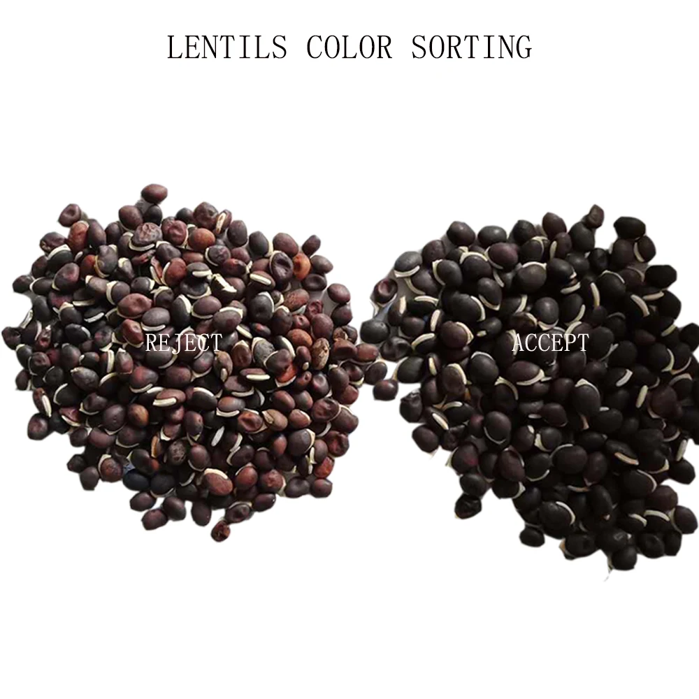 Turkish Lentils Processing Machine Red Split Lentil Color Sorter Sorting Machine