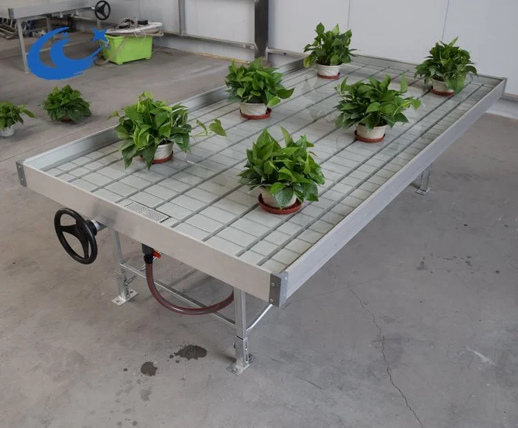 Manufacture Hydroponic grow system 4x8 flood nursery trays Flood Table