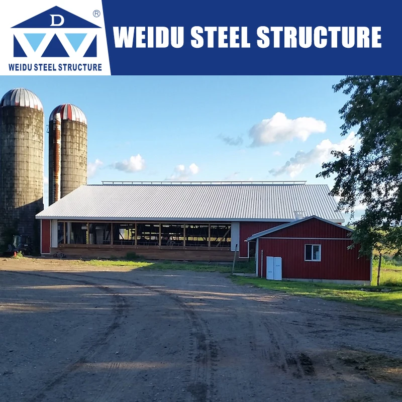 Factory Price Steel Structure Poultry House Chicken Egg Poultry Farm Layer Cage For Sale In African Farm