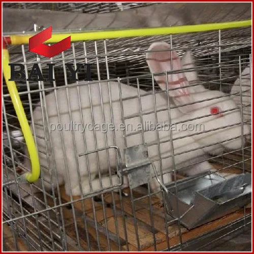 High Quality Rabbit Breeding Cages With Rabbit Drinker For Sale