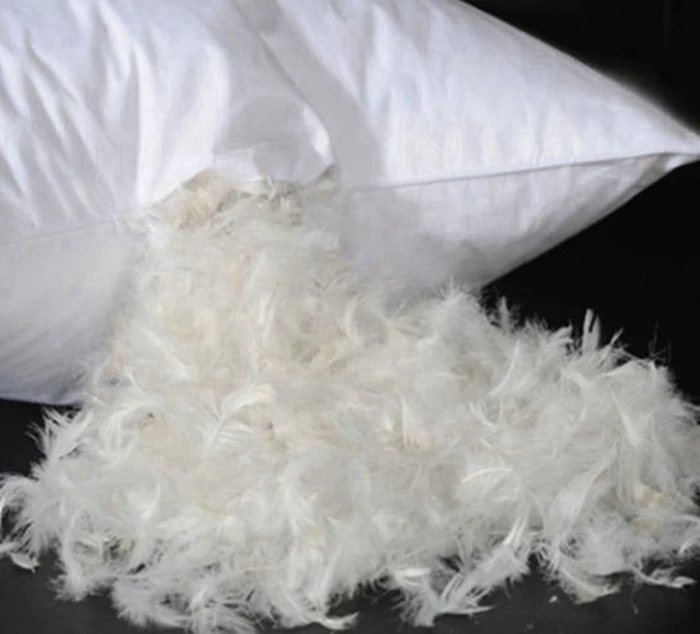 Bulk white duck feather pure washed filling material for cushion mattress