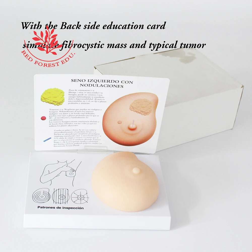Breast Examination Simulator Milk Guidance Advanced Breast Nursing Practice Model Female Breast Model