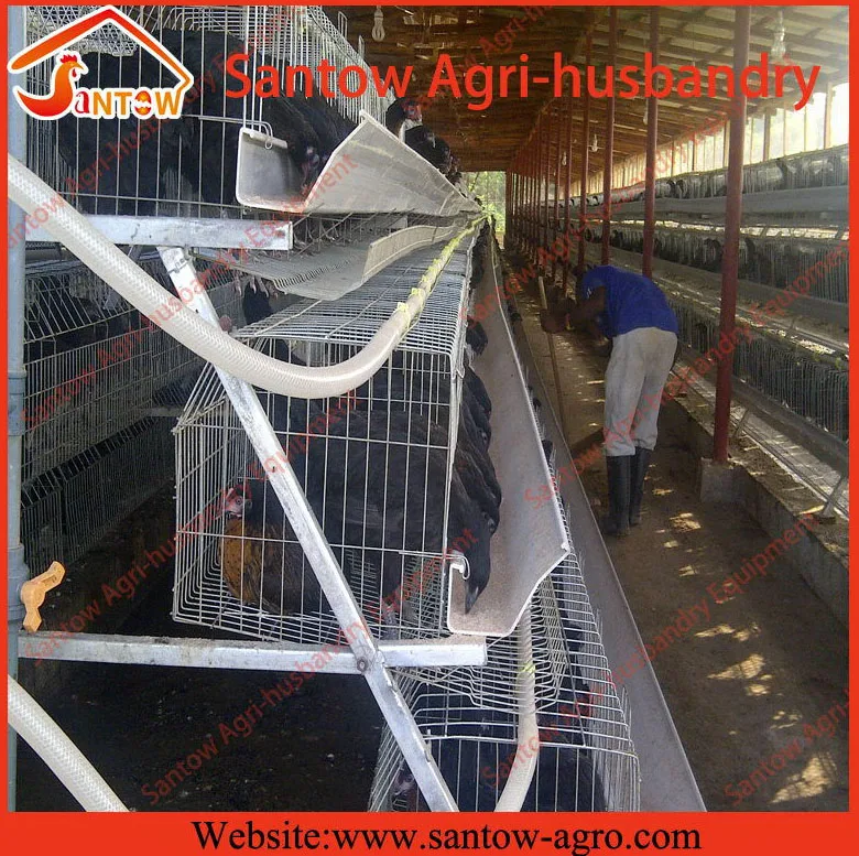 A type 4 tier chicken layer cages pigeon breeding battery cage for poultry farm