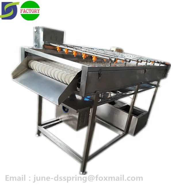 industry onion cucumber Kohlrabi salad leaf vegetable washing equipment cutting grading process machine manufacturer