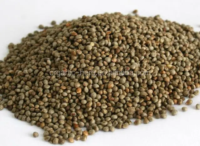 Clary Sage Extract Sclareolide 95% 98% GC | Salvia Sclarea Plant Extract