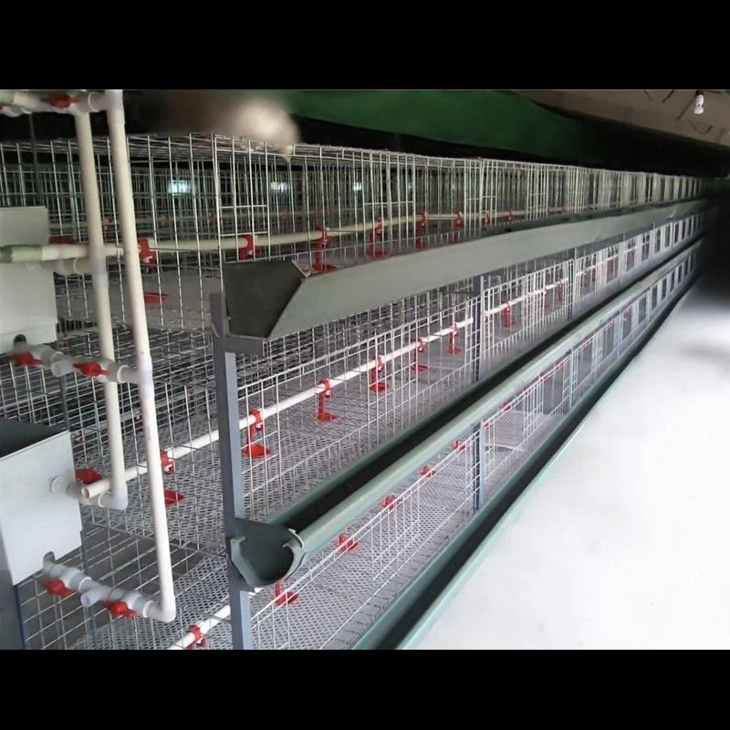 battery chicken cage for commercial broiler