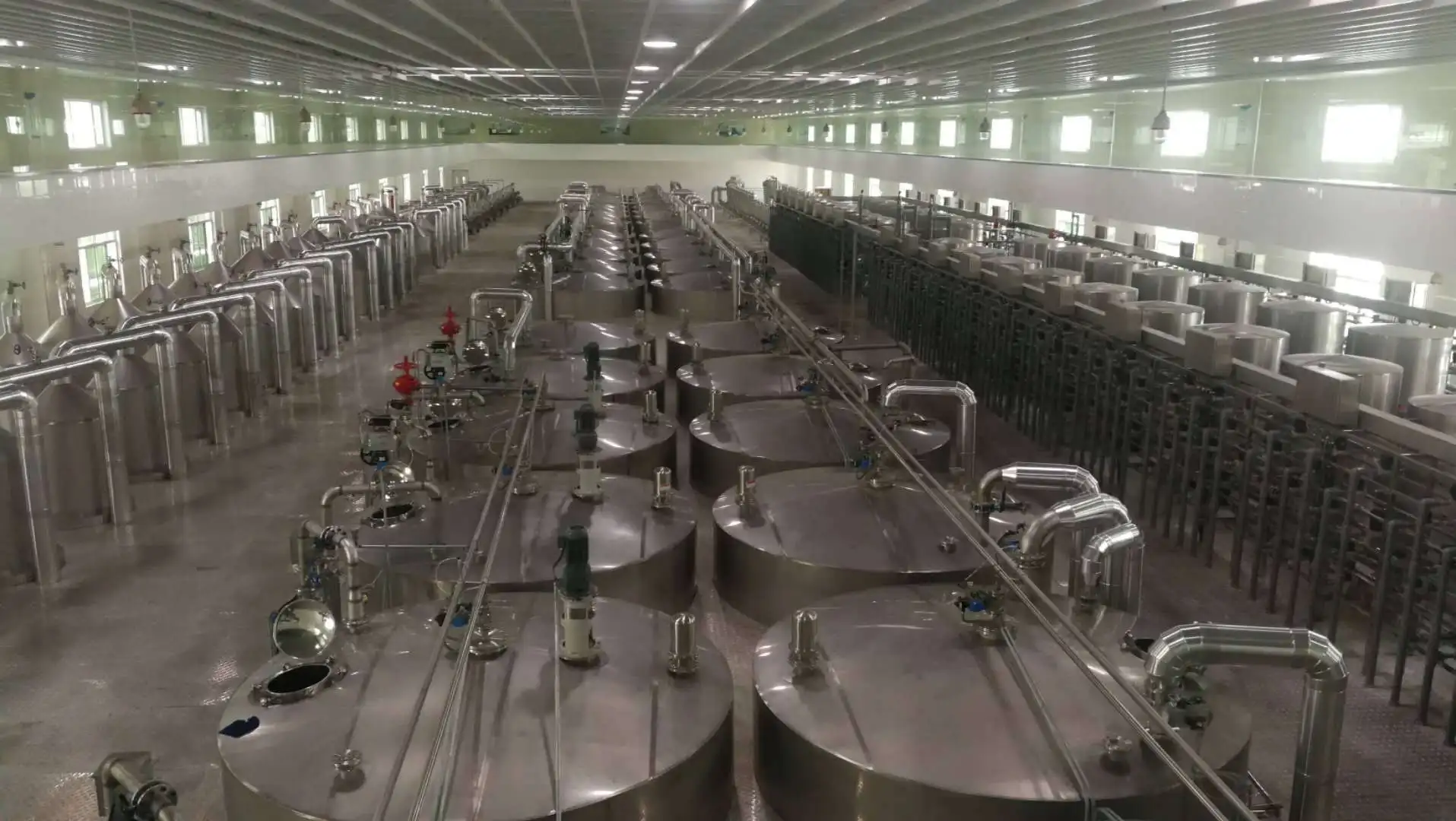 25% Protein Corn Germ Meal for Animal Feed Prices