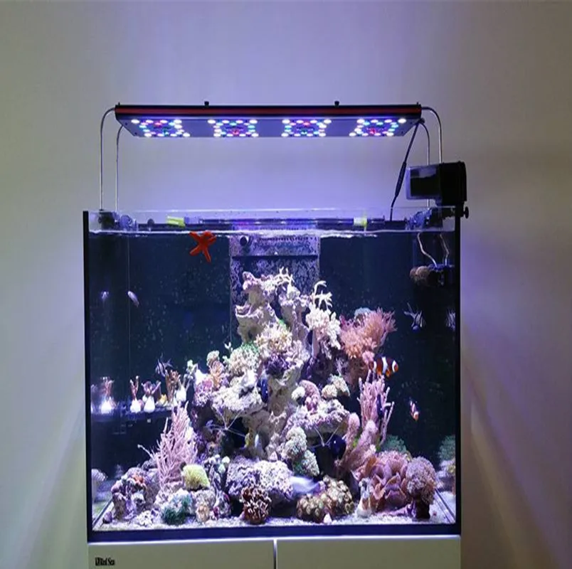 2019 EVERGROW IT5012 aquarium led lighting sunrise sunset led aquarium light for sps corals coral reef led lighting