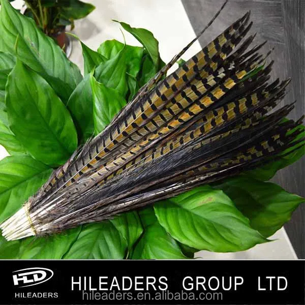 Натуральные дамские перья фазана