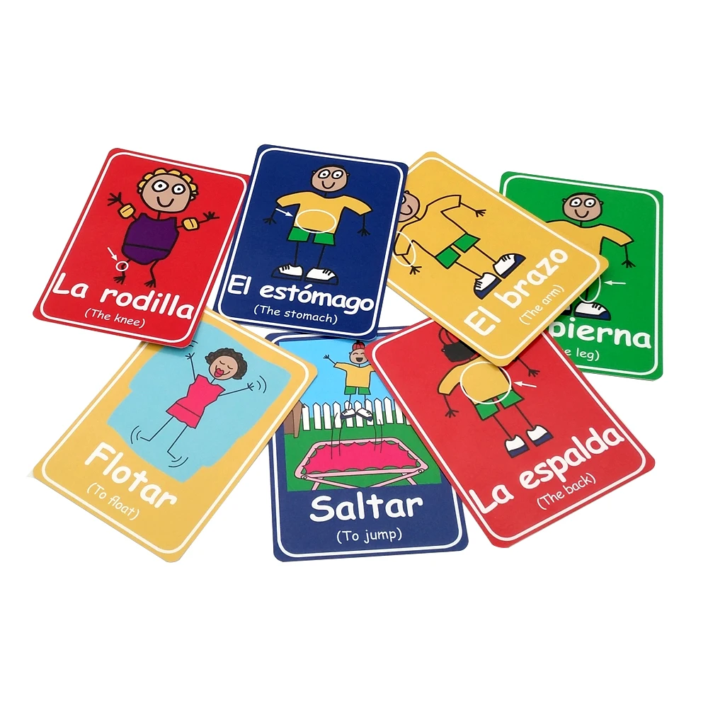 
Custom printing paper standard size educational flash card 