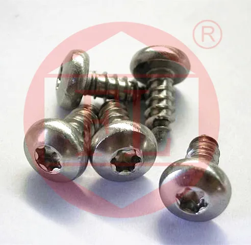 SS304/316 pan head torx screws