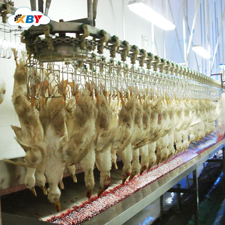 Automatic chicken feet cutting  machine online for chicken feet production line/ poultry abattoir machine