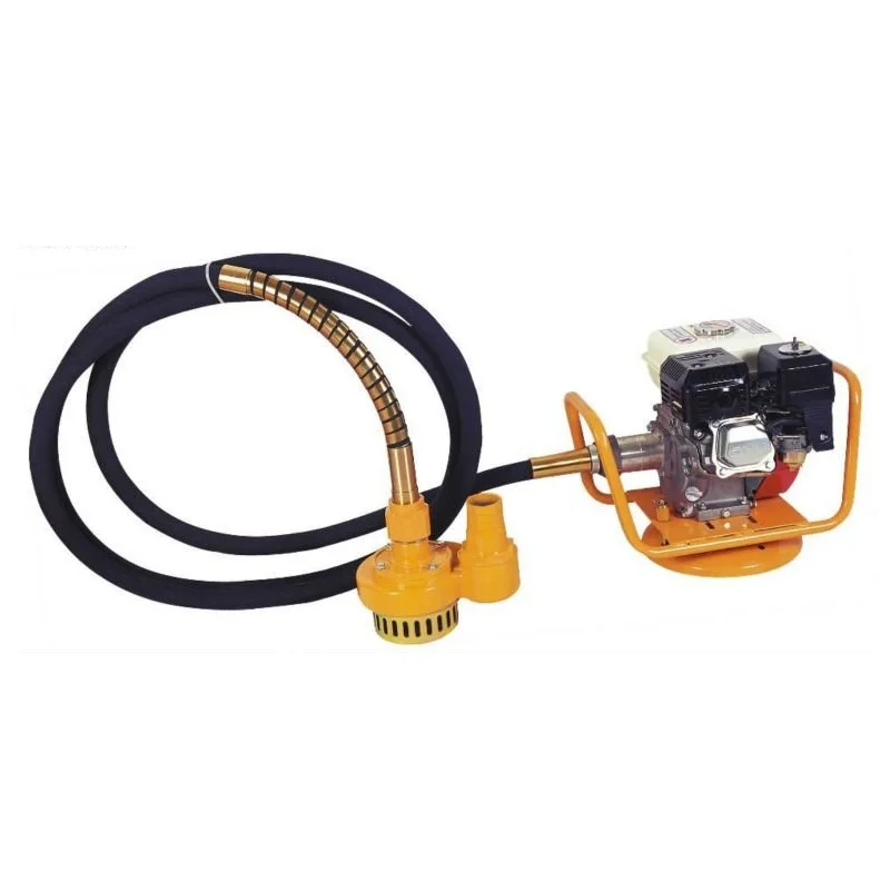 Mini 4 stroke 5.5 hp gasoline engine powered water pump