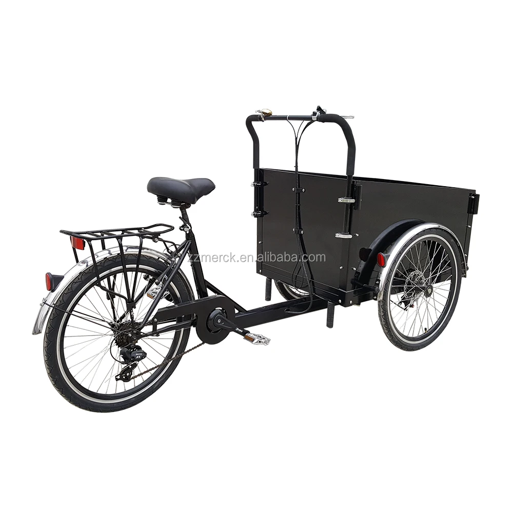 Magazines and Mails Delivery Three Wheel Denmark Electric Trike Cargo Bike for Sale