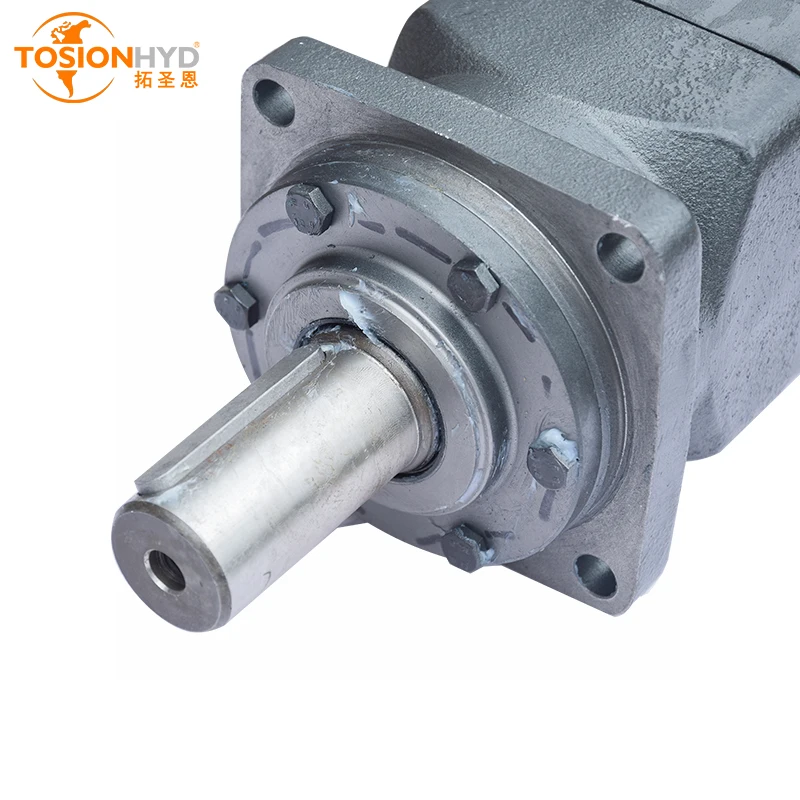 BM5 BM6 BMV/OMV 315/400/500/630/800/1000 Low Speed High Torque Pressure Orbital Hydraulic Motor For Crane Rotation