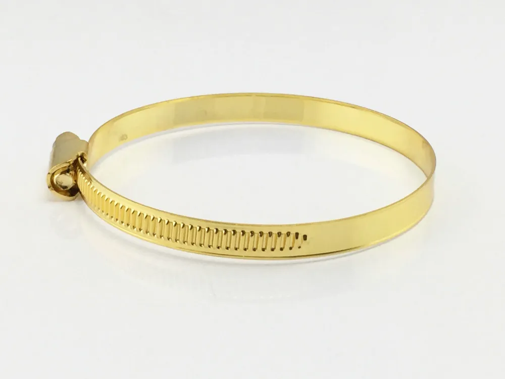 high quality large range of sizes germany type hose clamp