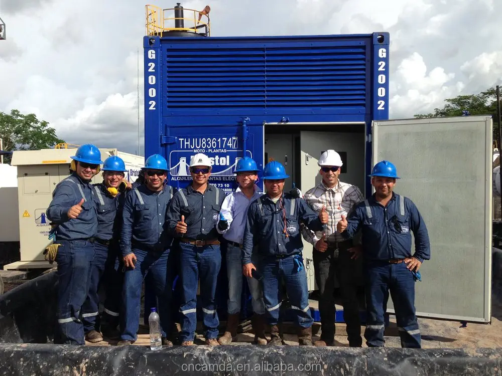 Hot sale! Canada Natural gas generator 250kw Generator