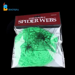 spider web with spider cobweb for indoor decoration