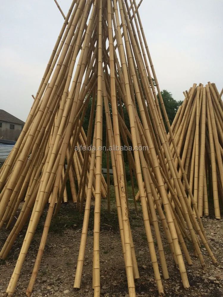 FD - 183233 Clean yellow nice looking decoration raw mao bamboo pole/ big bamboo pole