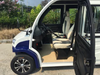 2 seater new energy low-speed off road electric cargo cars